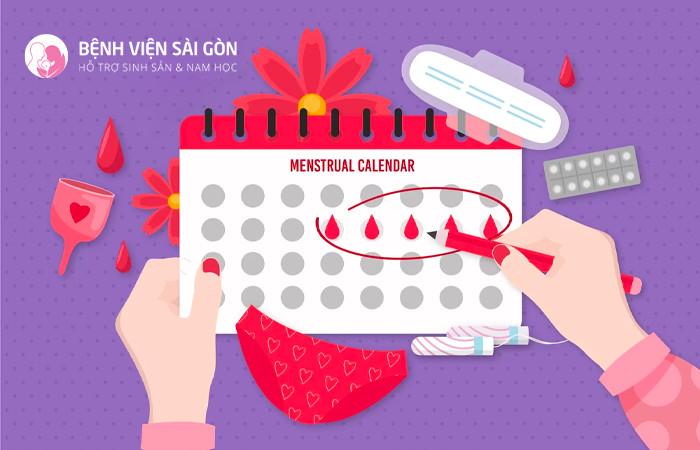 Xét nghiệm Progesterone thường được chỉ định khi gặp các vấn đề khi mang thai hay về kinh nguyệt