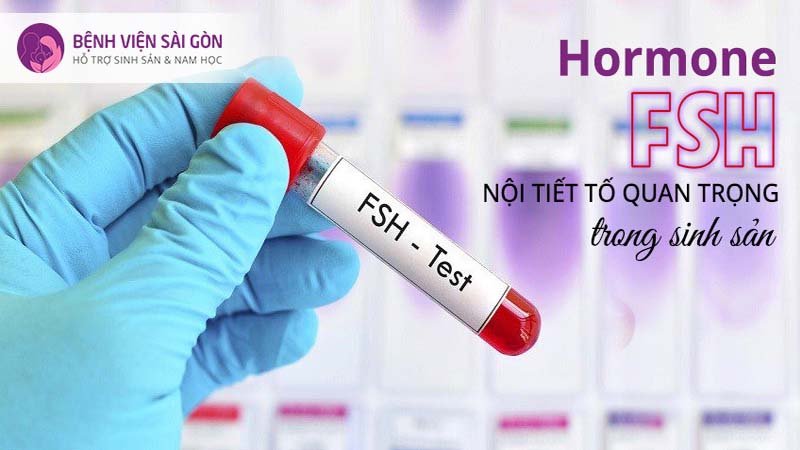 Xét nghiệm FSH đánh giá tình trạng các nang trứng trong buồng trứng trước khi thực hiện IVF