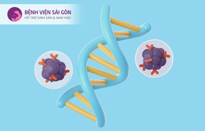 Bất thường ở NST sẽ gây ra một số bệnh lý ảnh hưởng đến sức khỏe cho thế hệ sau