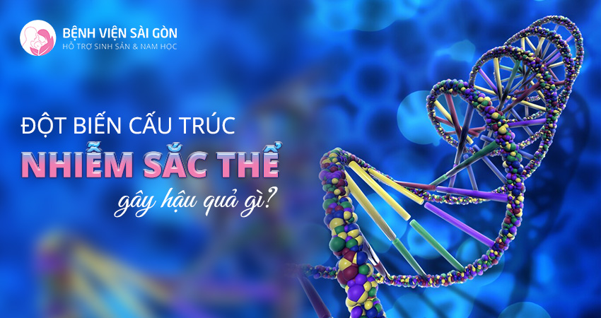 Ý nghĩa của các cặp nhiễm sắc thể là gì?