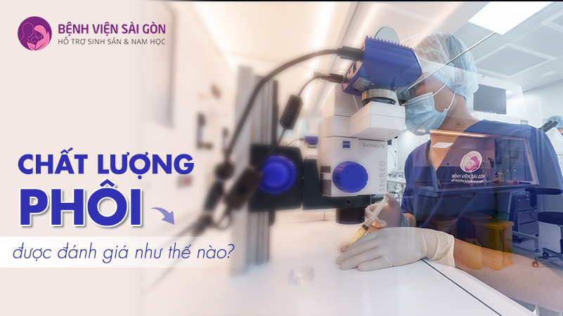 Chất lượng phôi được đánh giá như thế nào?