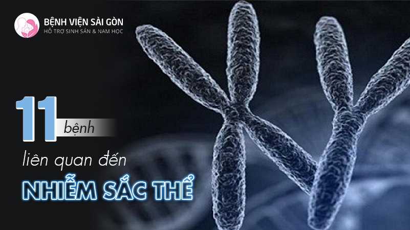 11 bệnh liên quan đến nhiễm sắc thể