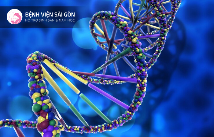 Tầm soát các bất thường về nhiễm sắc thể là cách phòng ngừa các bệnh di truyền
