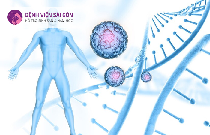 Tầm soát các bất thường về nhiễm sắc thể thường được lấy mẫu từ máu, nước ối