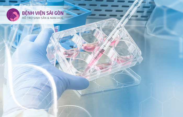 Có 3 loại xét nghiệm di truyền tiền làm tổ là PGT-A, PGT-M & PGT-SR