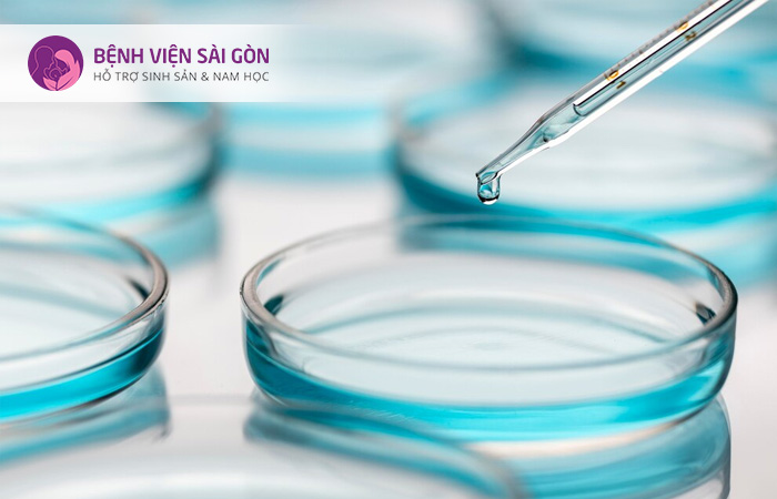 Xét nghiệm di truyền tiền làm tổ giúp tăng tỷ lệ thành công cho phương pháp IVF