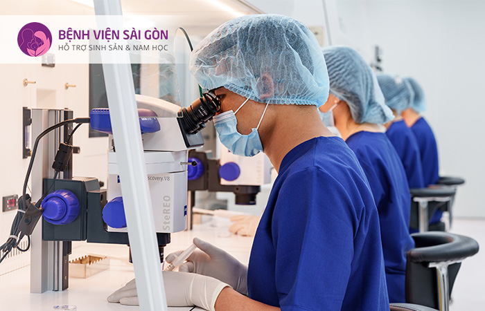 Giai đoạn phát triển phôi ngày 5 không ảnh hưởng đến chất lượng khi trữ hoặc rã