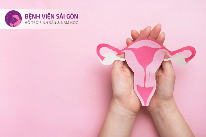Đánh giá sức khỏe sinh sản Đánh giá sức khỏe sinh sản