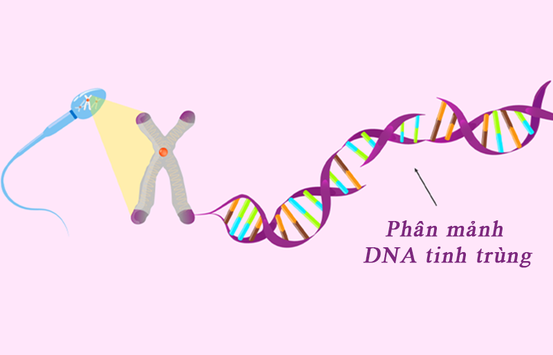 Yếu tố do phôi dẫn đến IVF thất bại nhiều lần