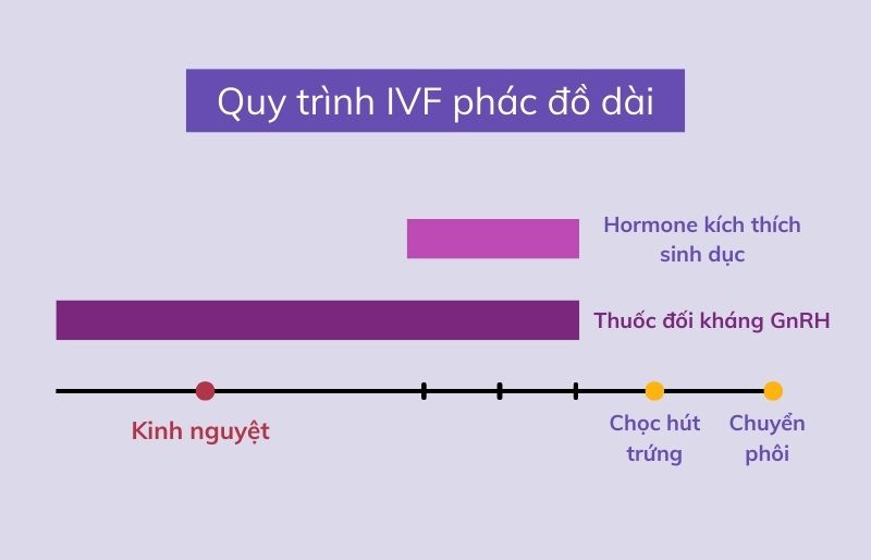 Mô tả đặc điểm của IVF phác đồ dài
