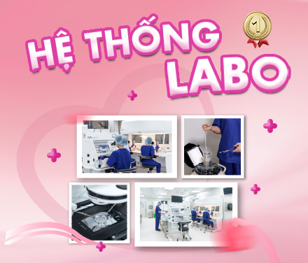 banner hệ thống labo