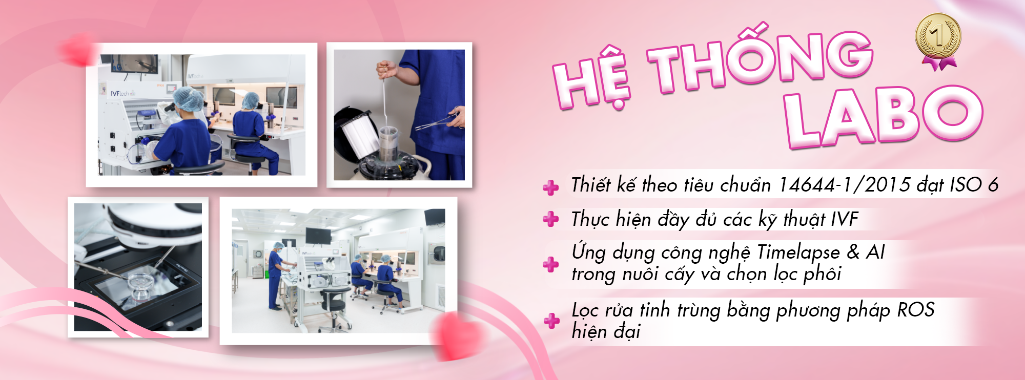 banner labo